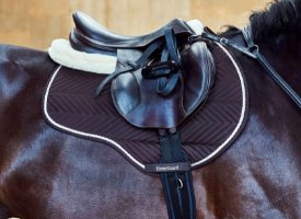 Sadler og tilbehør