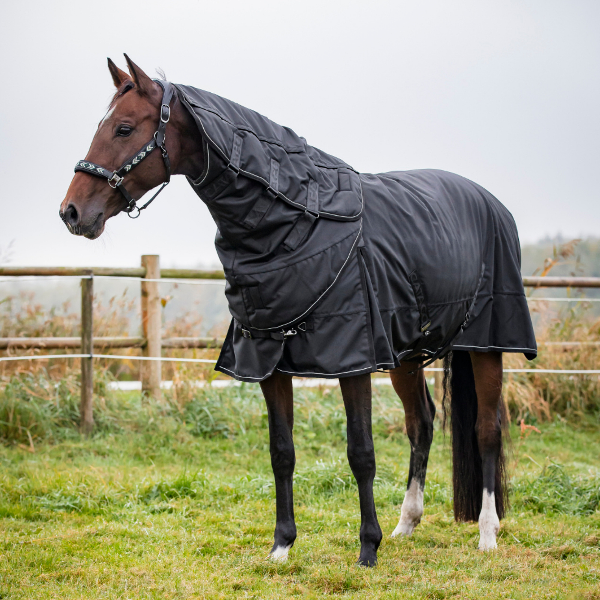 CATAGO Endurance 2.0 Turnout 1680D -150g 125 cm