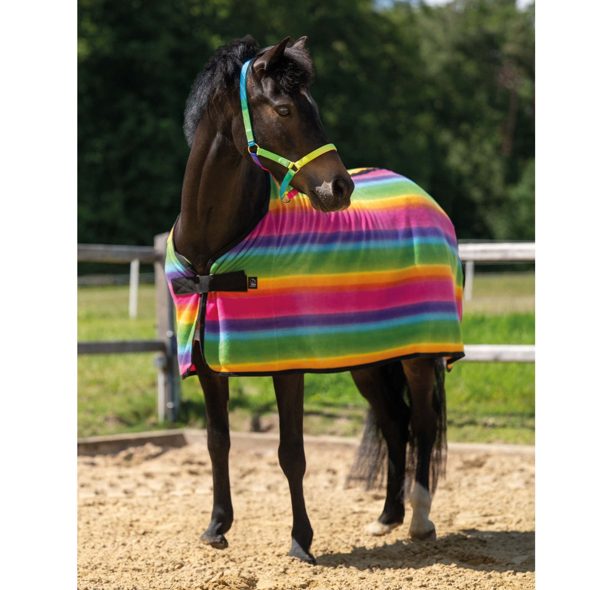 Shetland Cooler - Rainbow 75 cm