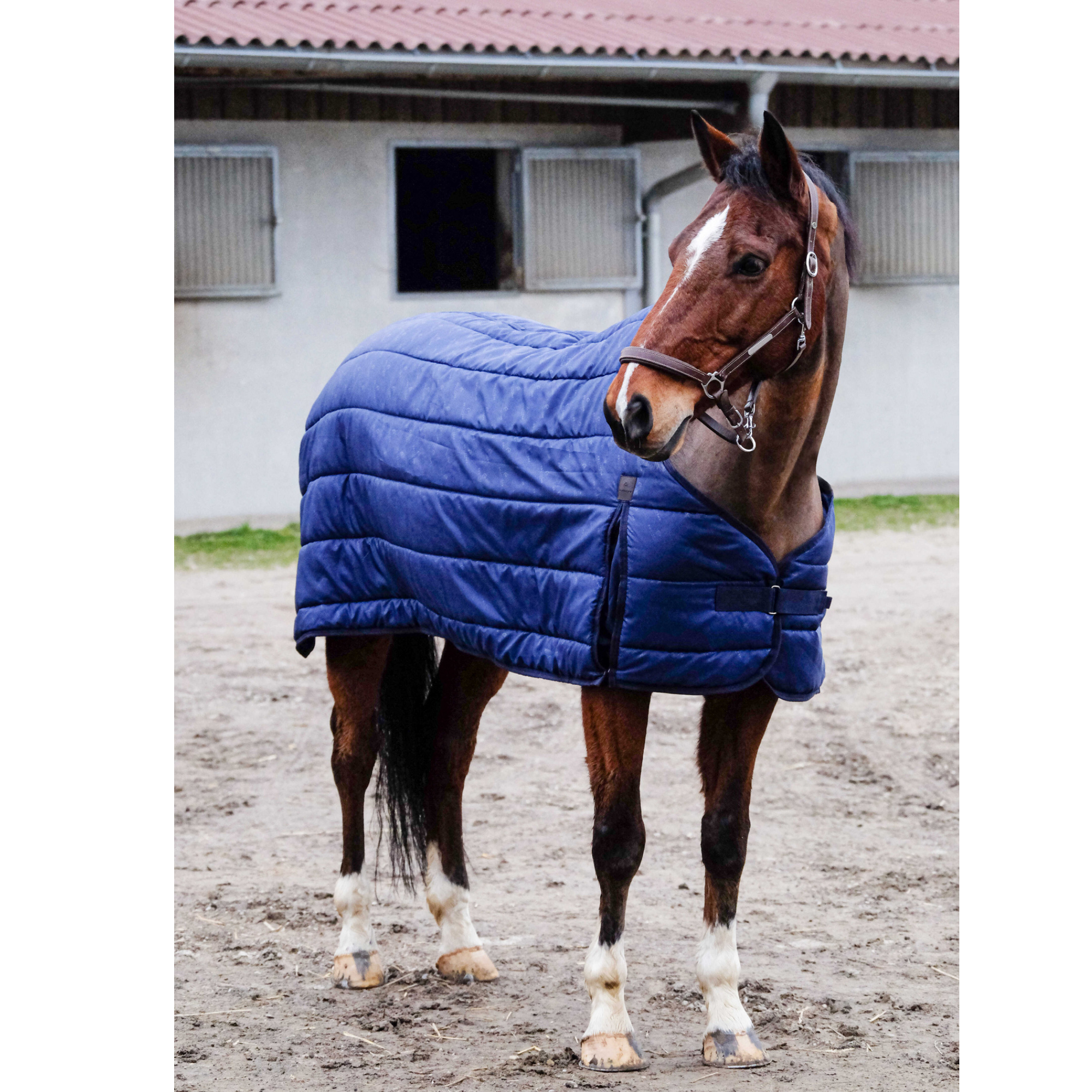 EQUITHÈME Classic 1200D liner - 300g 125 cm