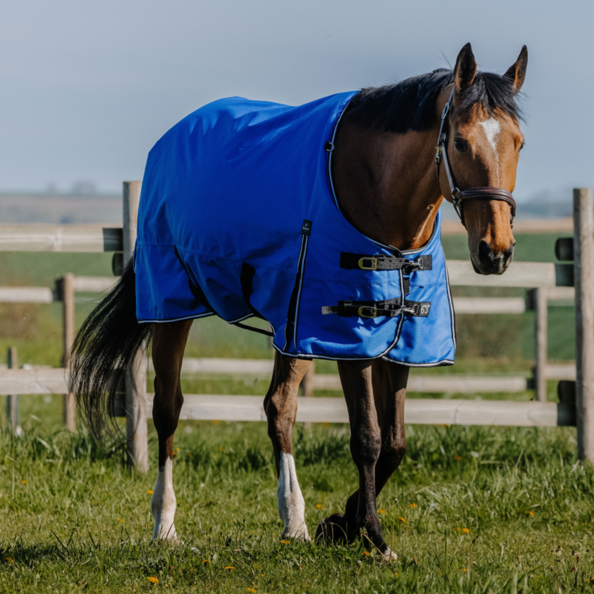 Equithème Tyrex 1200D Aisance Udedækken 300g 105 cm