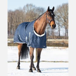 Ontario Bringebeskytter