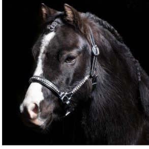 Anastasia lder grime med crystal