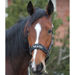 Back on Track Refleks grime Werano