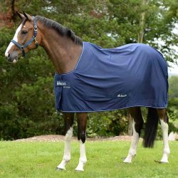 Bucas Shamrock Power