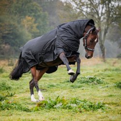 CATAGO Endurance 2.0 Turnout 1680D - 300g