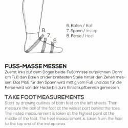 Cavallo CAVALInsignis Standard p ml