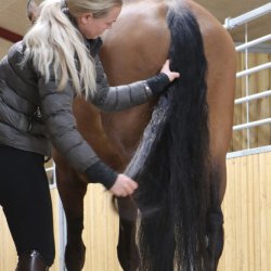 Nathalie Easy Mane &amp; Tail Gel 250 ml