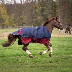 Equithme Tyrex 1200D Udedkken 50g