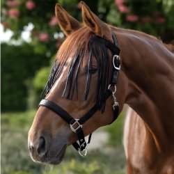 Fluepande b�nd sort