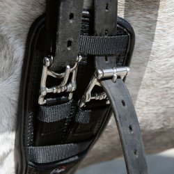 Gel-dressurgjord SNAP