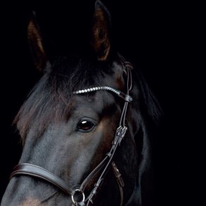 CATAGO Gentle Pandebnd