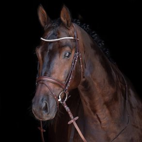 Mia trense med crystaller