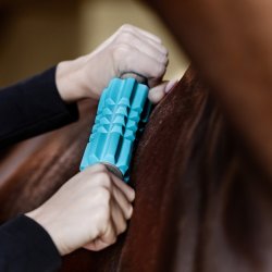 Health + Care Faszien Fit