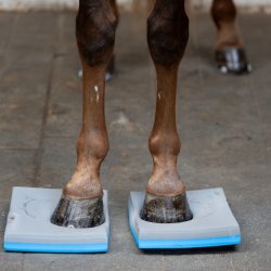 Horse Guard Balance-pads, 2-pak