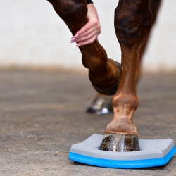 Horse Guard Balance-pads, 2-pak