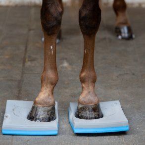 Horse Guard Balance-pads, 2-pak