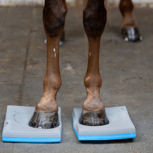Horse Guard Balance-pads, 2-pak
