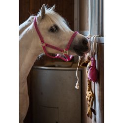 HorseGuard Butterfly grime - Shetland