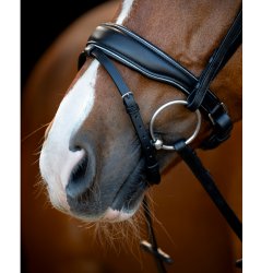 HorseGuard Cryll 25.1 trense komb. nsebnd m/tilbagetrk