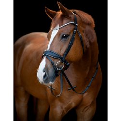 HorseGuard Cryll 25.1 trense komb. nsebnd m/tilbagetrk