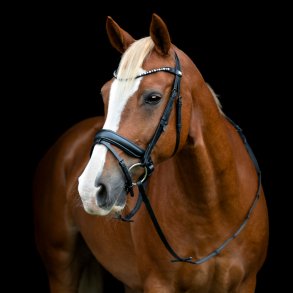 HorseGuard Cryll 25.2 trense m/tilbagetrk