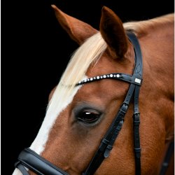 HorseGuard Cryll 25.2 trense m/tilbagetrk