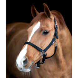 HorseGuard Saby grooming grime