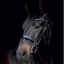 CATAGO Gentle kindstykker