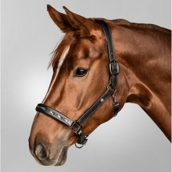 Ldergrime med crystaler