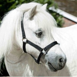 Mini Shetlands grime