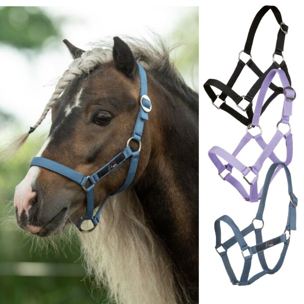 Mini Shetlands grime Lilla