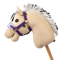 My Hobby Horse - Unicorn Grime