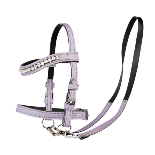 My Hobby Horse Trense - Lavendel glitter