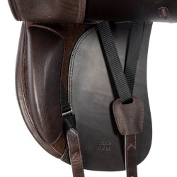 Ordo  Katla Islndersadel