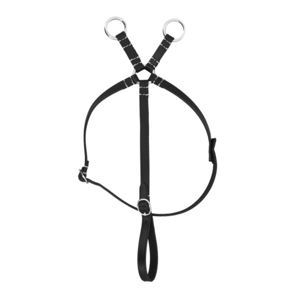 PONY ACADEMY Mini martingal