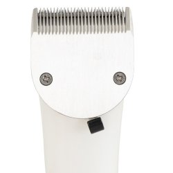 Premiere lille trdls klipper Condor