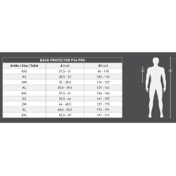 Rygbeskytter SWING P24 Pro voksen