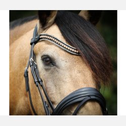 SD Diamond Extreme pandebnd