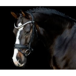 SD Mystery trense Crystal og lak-glimmer i Sort