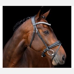 SD Mystery trense Crystal og lak-glimmer i Sort