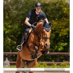 SWING Bodyprotektor P24 Max Level 3