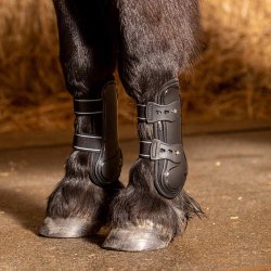 Shetlnder spring gamache