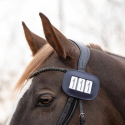 Stvne Nummerholder lder