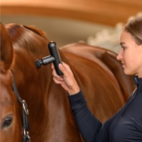 WALDHAUSEN Health + Care Massage appearat Pocket Relax