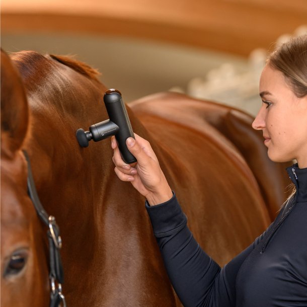 WALDHAUSEN Health + Care Massage appearat Pocket Relax