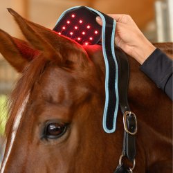 Waldhausen Health + Care Infrar�d-massage FlexPad