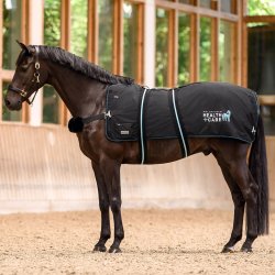 Waldhausen Health + Care TecSupreme Varme og  Massaged�kken