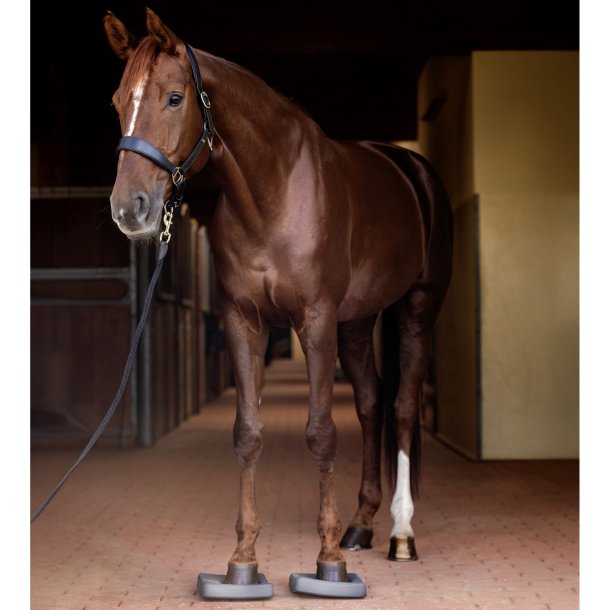 Waldhausen Health + Care balance pads