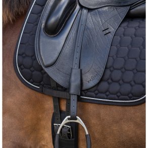 Webbers stigremme l�der